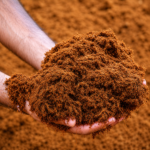Cocopeat