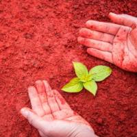 red soil