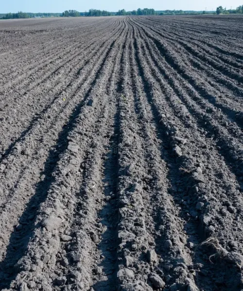 soil