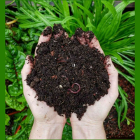vermicompost_1000x1000